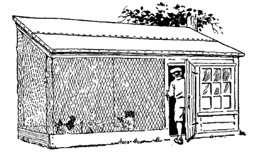 A home-made chicken coop built on the 'scratching-shed' plan