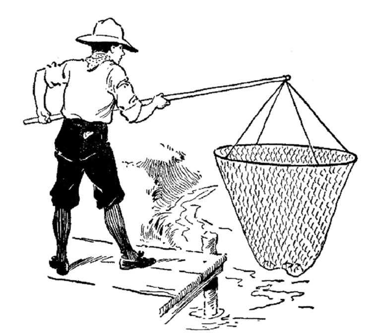 An excellent device for catching minnows.png