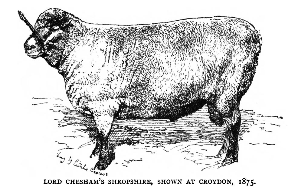 Lord Chesham's Shropshire
