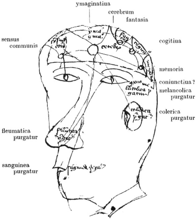 Diagram of the senses, the humours, the cerebral ventricles, and the intellectual facultie.jpg