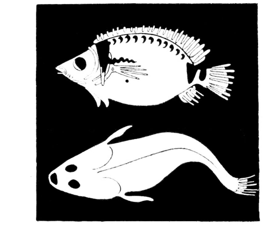 Paintings of fish on plates.jpg