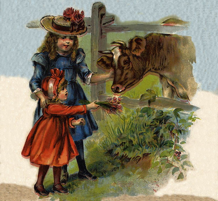 Two girls feeding a cow.jpg