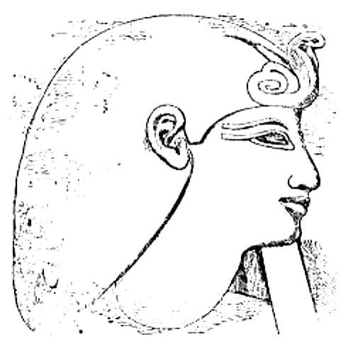 Head of Thothmes II.jpg
