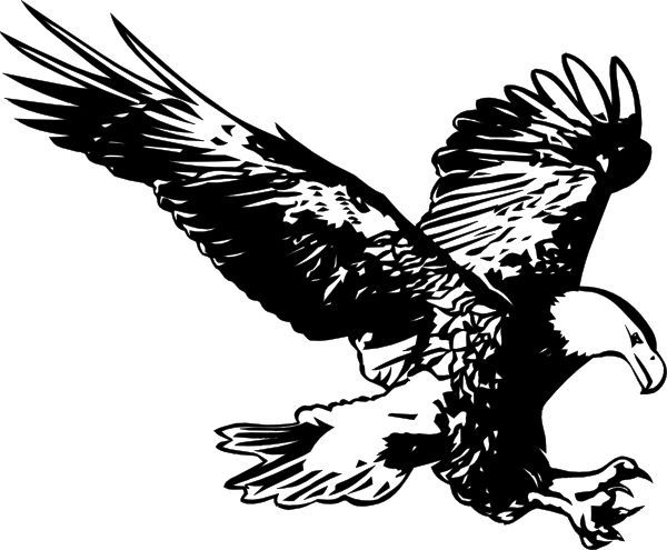 Eagle Hunting.jpg