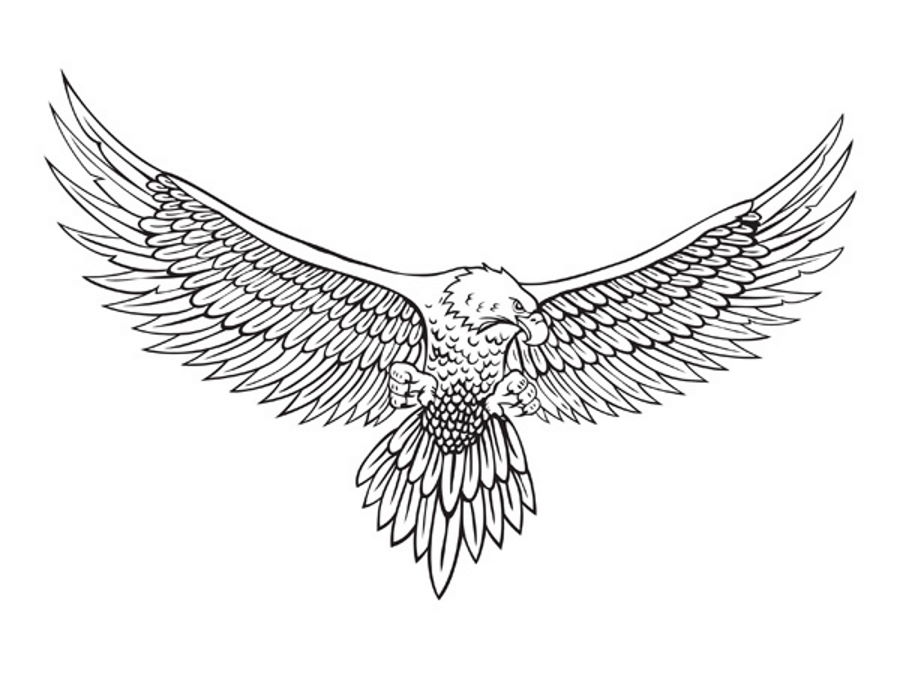 Eagle 1.jpg