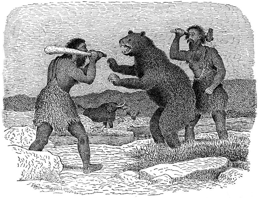 Palæolithic Men Attacking Cave Bear.jpg