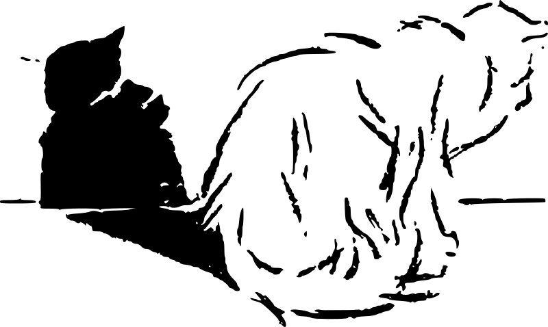 Cat and Shadow 2.jpg