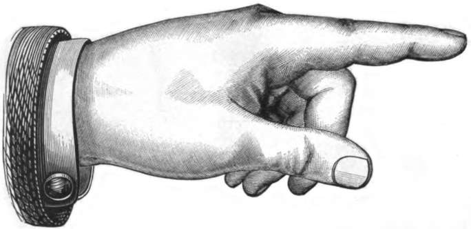Left Hand Pointing - Fine detail .jpg