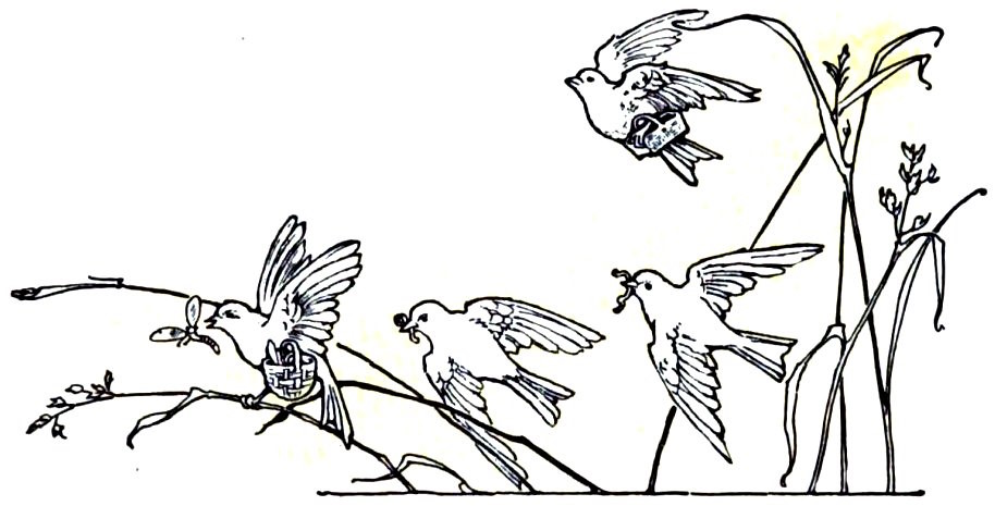 Birds collecting food.jpg