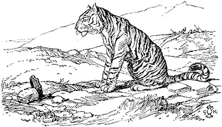 ‘The tiger and the mirror’.jpg