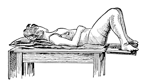Dorsal recumbent posture.jpg