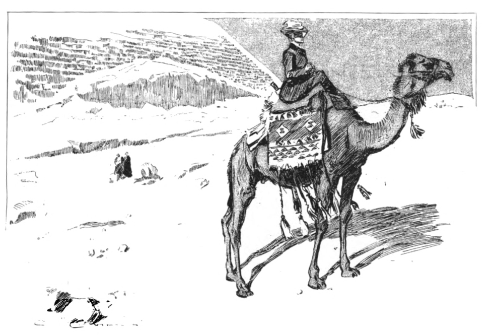 Camel-back.jpg