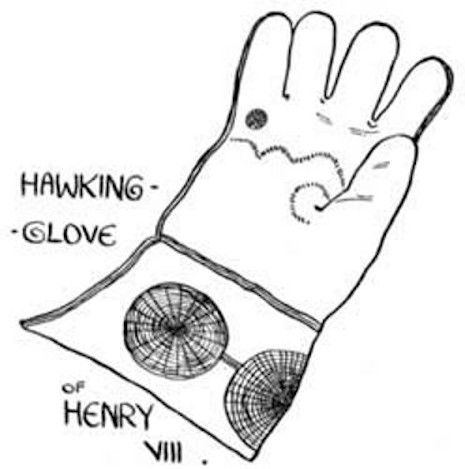 Hawking-glove of Henry VIII.jpg