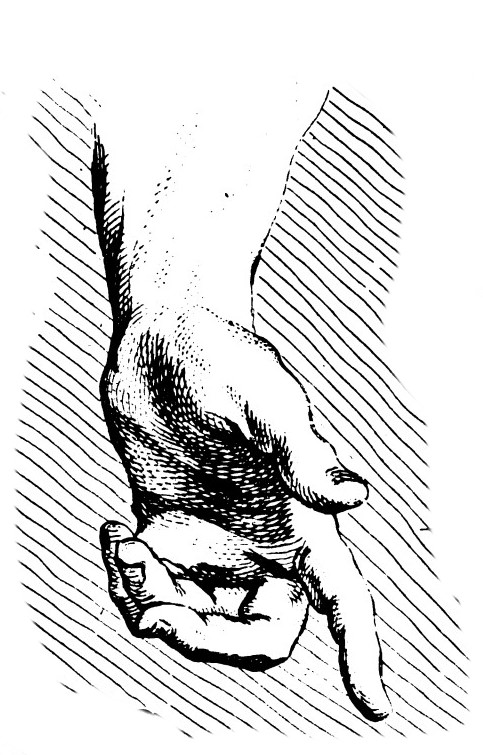 Hand 3.jpg