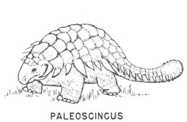 Ornithischian dinosaurs - Paleoscincus.jpg