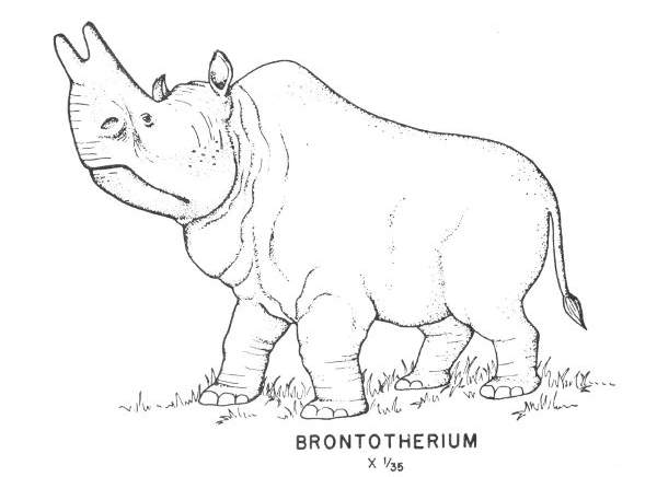 Tertiary mammals - Brontotherium.jpg