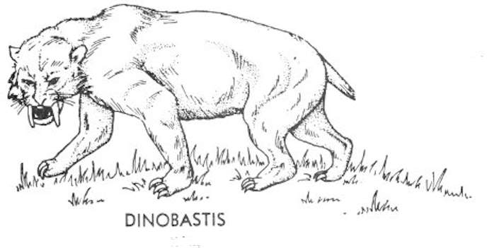 Cenozoic mammals - Dinobastis.jpg