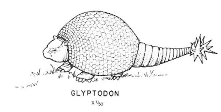 Cenozoic mammals - Glyptodon.jpg