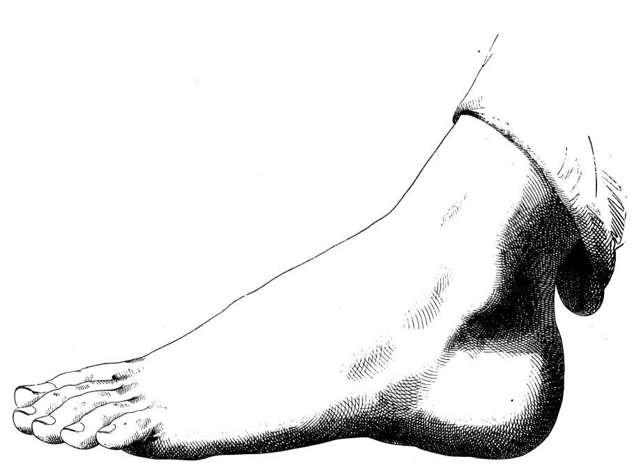 Left Foot